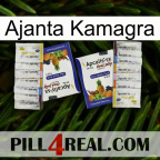 Ajanta Kamagra 12